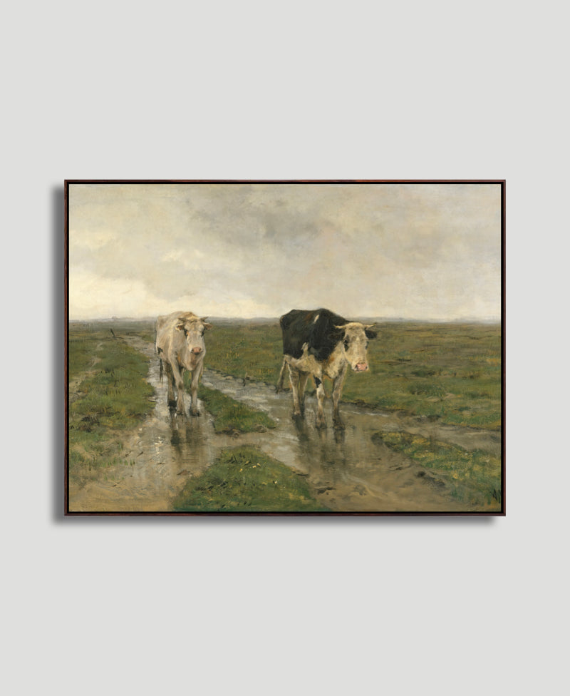 "COWS IN THE RAIN"